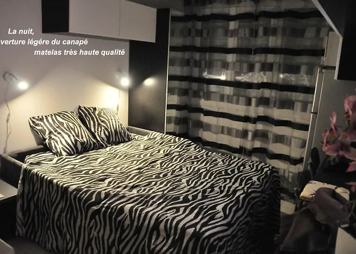 Studette Croisette Martinez Area * Cannes